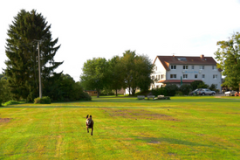 Fleesensee-die-Jagdschule-Ehemaliges-Seehotel-Silz-